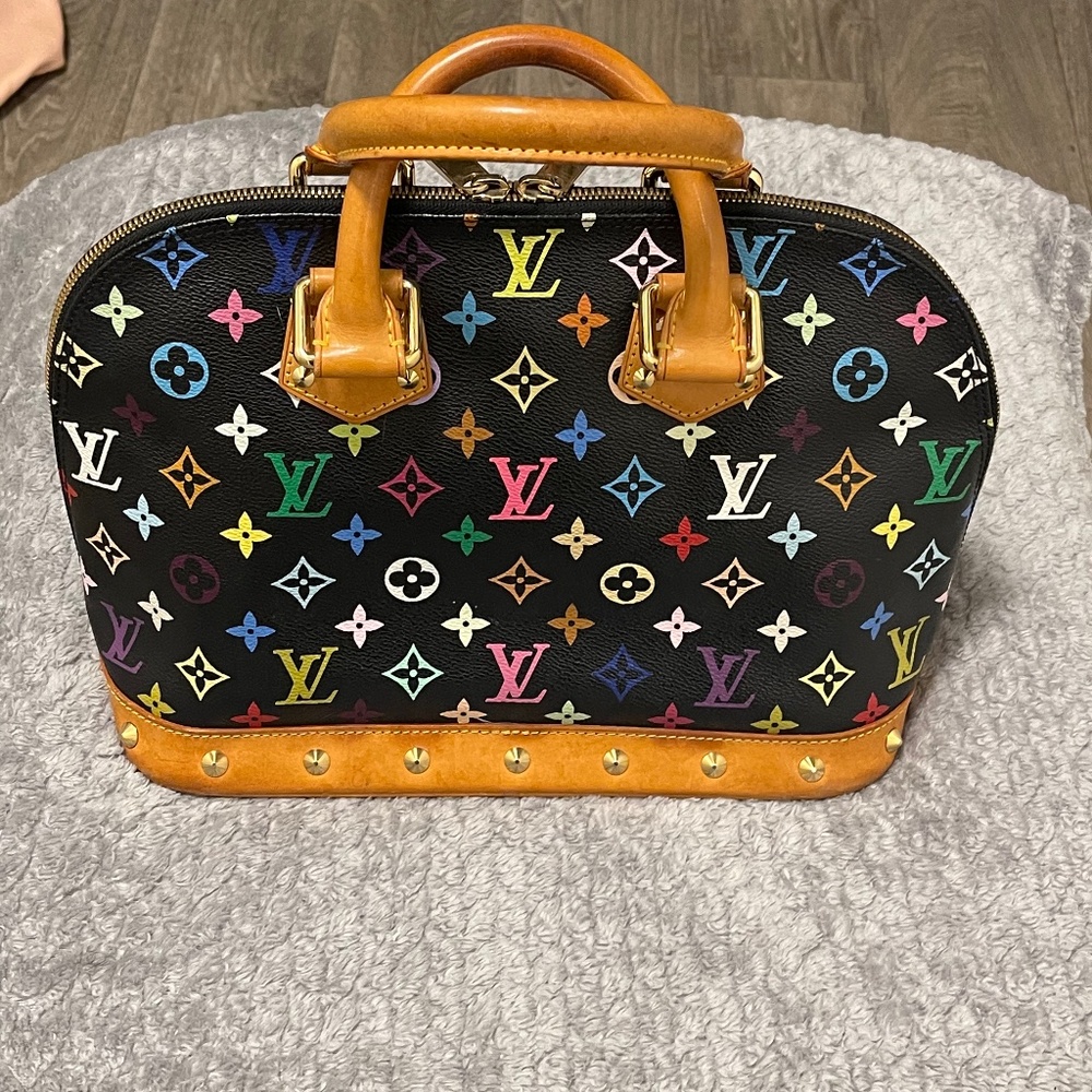 Lv purse multicolor